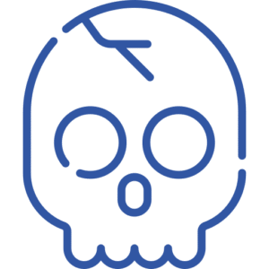 skull