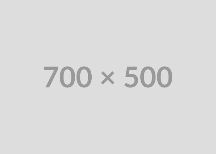700x500